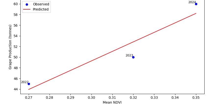 Gráfico mostrando uma clara relação crescente entre o vigor médio de abril a setembro e as uvas colhidas em toneladas, para 2022 a 2024