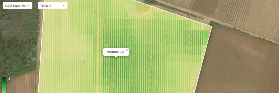 Enhanced-resolution vigor map over the same vineyard plot, showing individual vine rows clearly separated from the ground between them