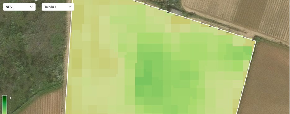 Standard-resolution satellite vigor map over a vineyard plot, showing blocky, blurred pixels that don't distinguish individual vine rows
