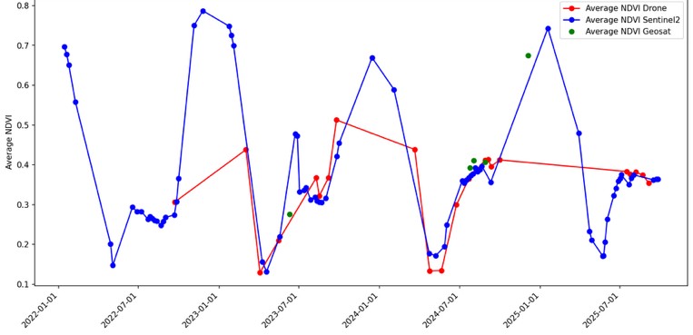 Chart comparing average vigor readings from drone surveys and satellite estimates from 2022 to 2025, tracking closely together over time
